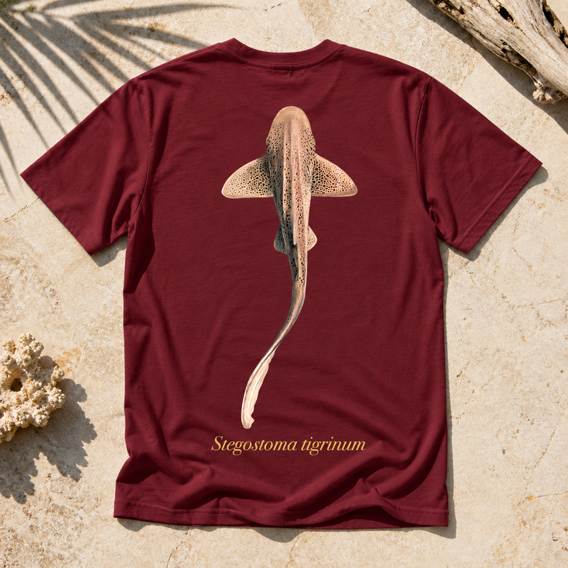 LEOPARD SHARK (Coming Soon)