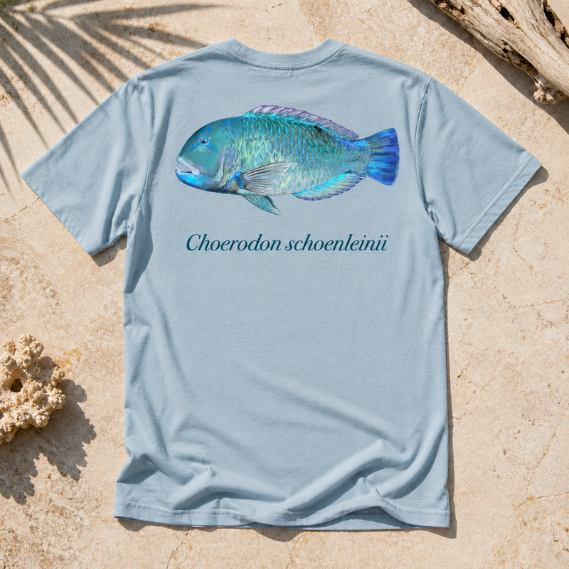 BLACKSPOT TUSKFISH