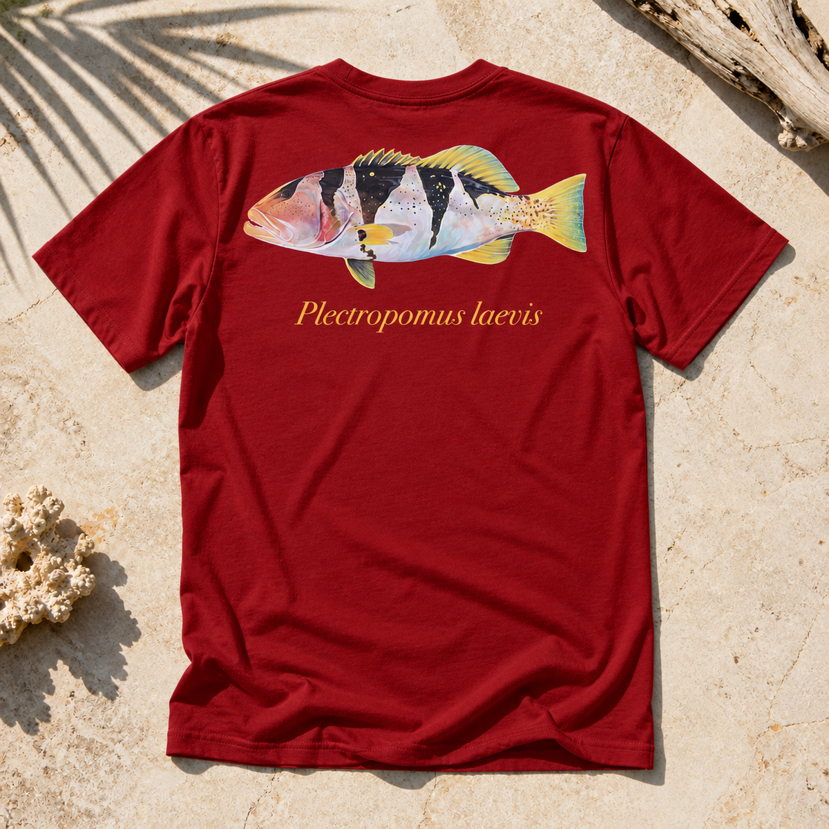 FOOTBALLER CORAL TROUT