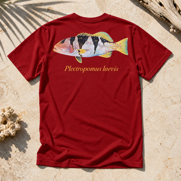 FOOTBALLER CORAL TROUT