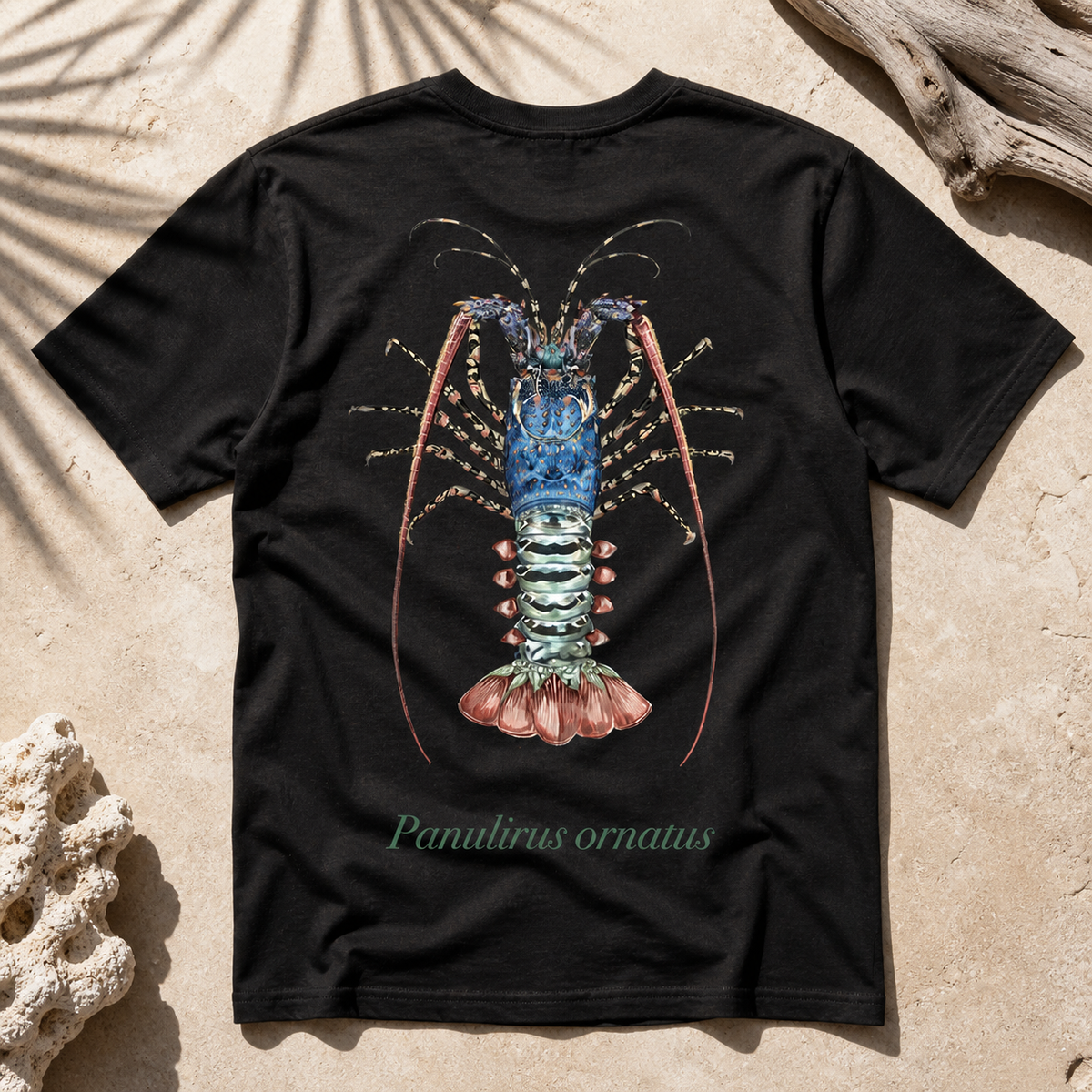 ORNATE CRAYFISH