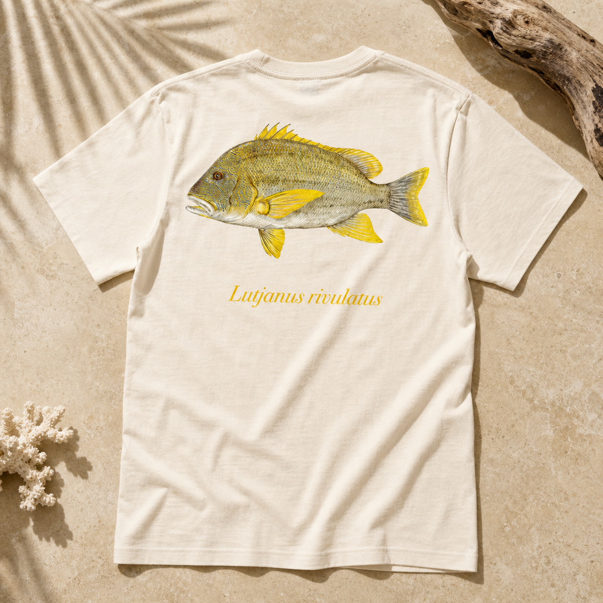 MAORI SEA PERCH