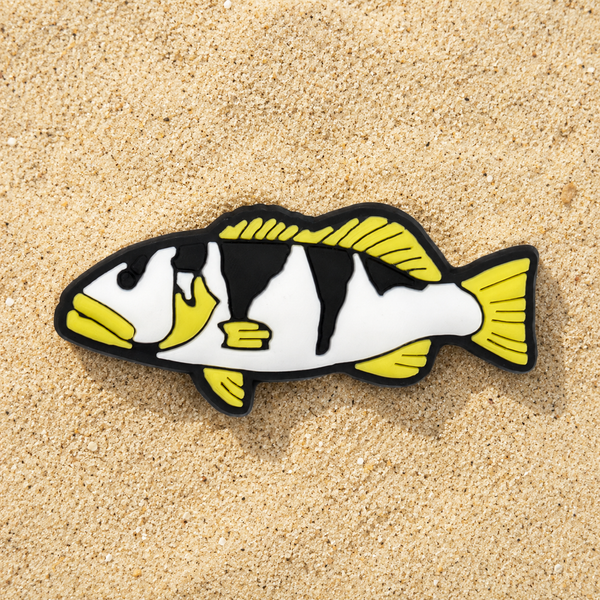 Footballer Coral Trout