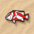 Reef Charms