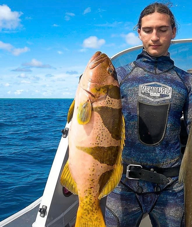Footballer Coral Trout — Reef Lagoon species