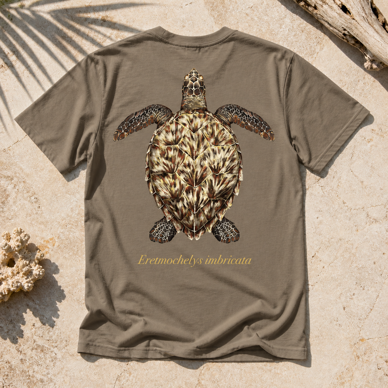 Hawksbill Turtle (Coming Soon)