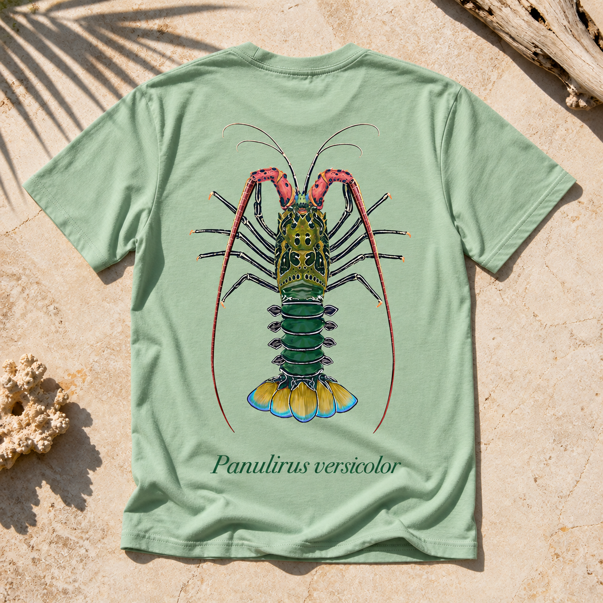 PAINTED ROCK LOBSTER