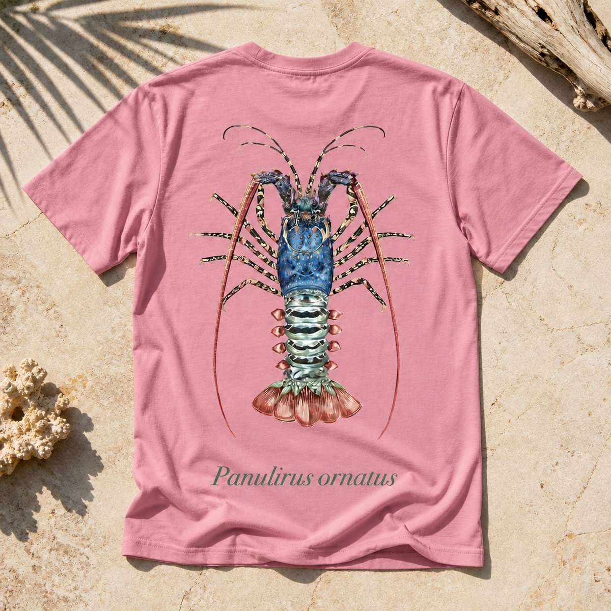 ORNATE CRAYFISH