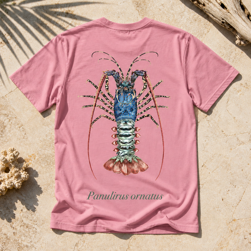 ORNATE CRAYFISH