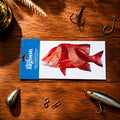 FISH DECAL TRANSFER STICKERS
