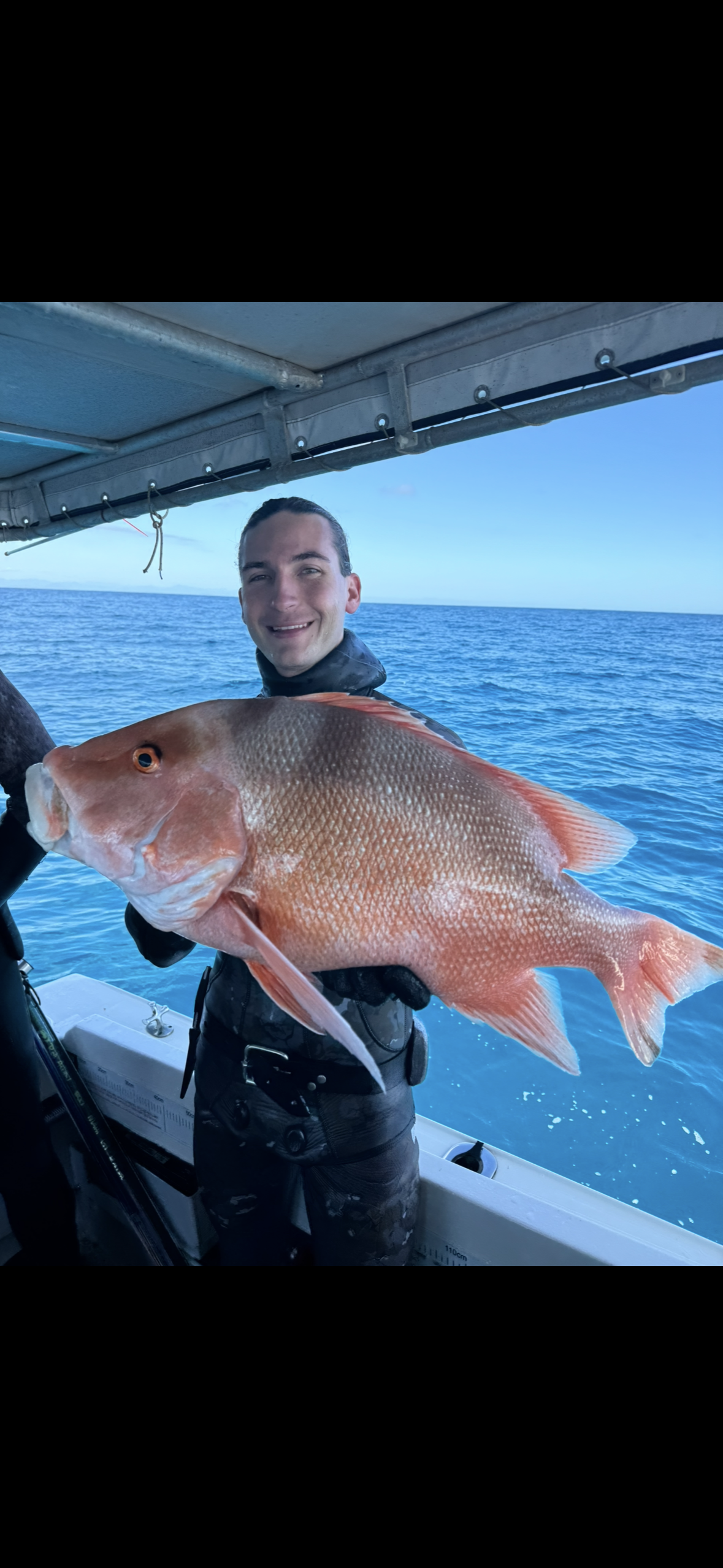 Red Emperor — the real fish