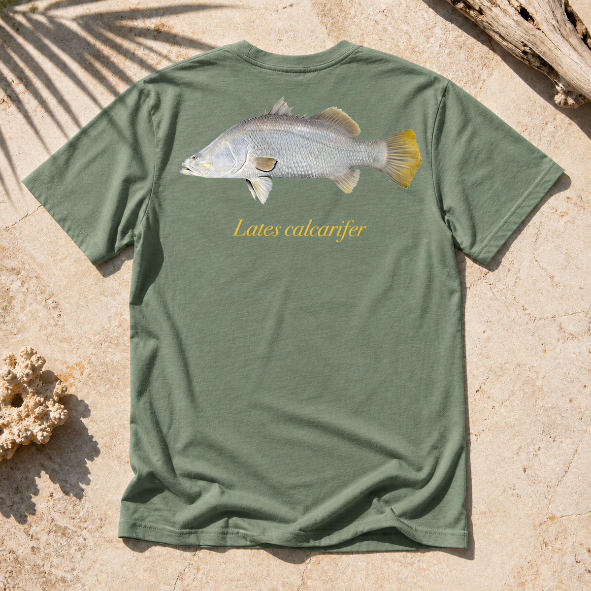 BARRAMUNDI