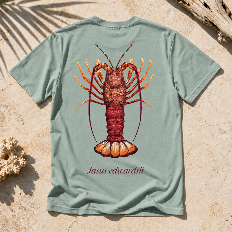 SOUTHERN ROCK LOBSTER