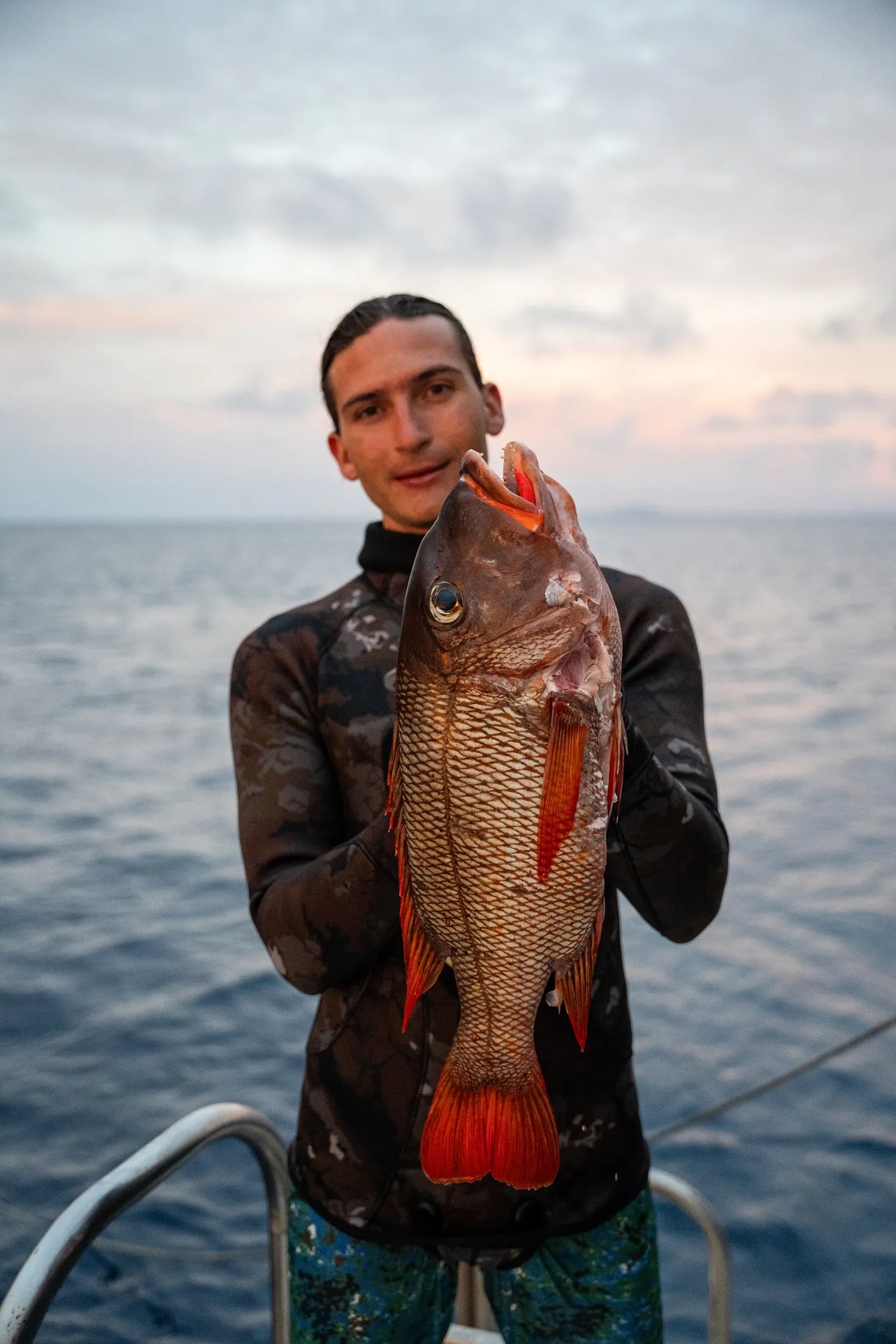 Buffalo Emperor — Reef Lagoon species