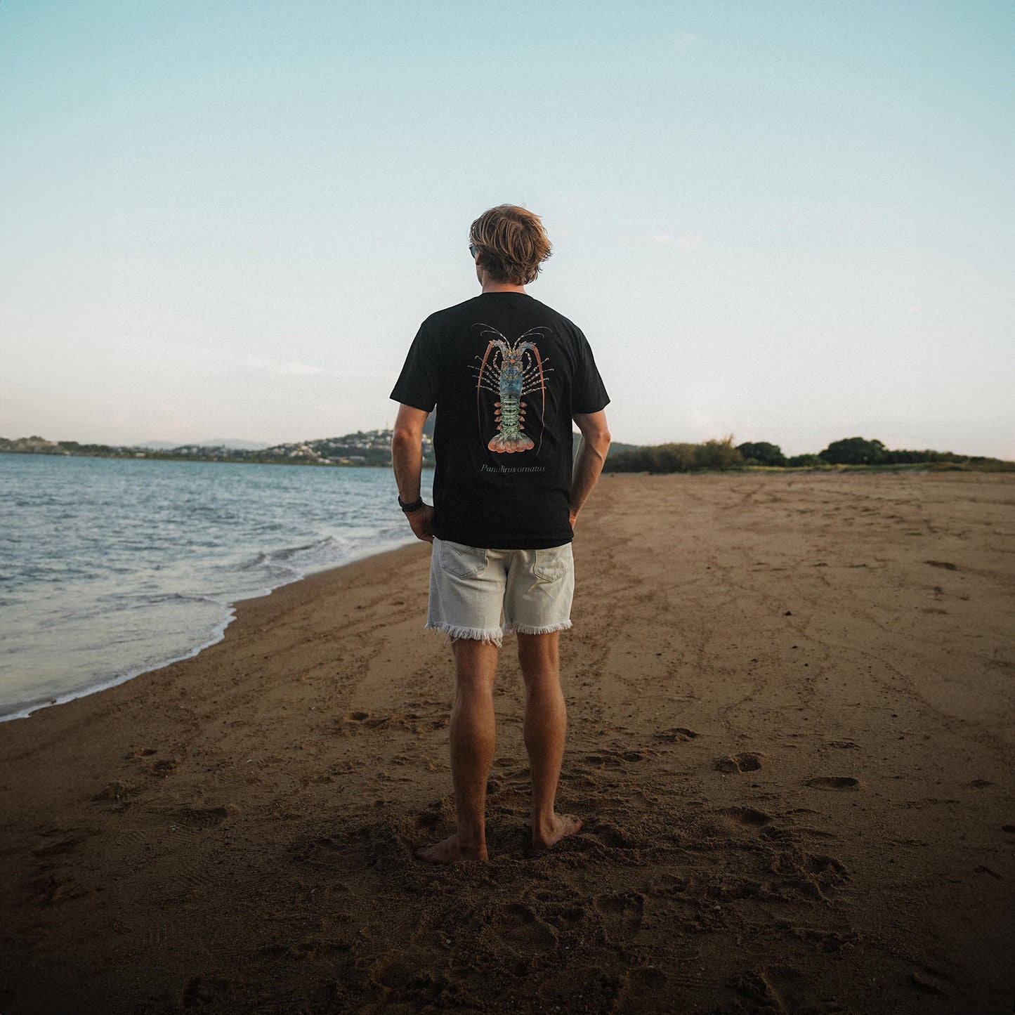 Ornate Crayfish Tee