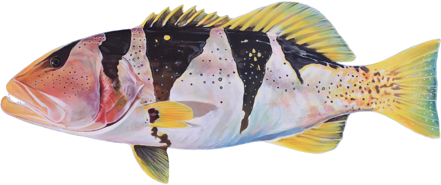 Hand-painted Footballer Coral Trout, shown at its preferred depth
