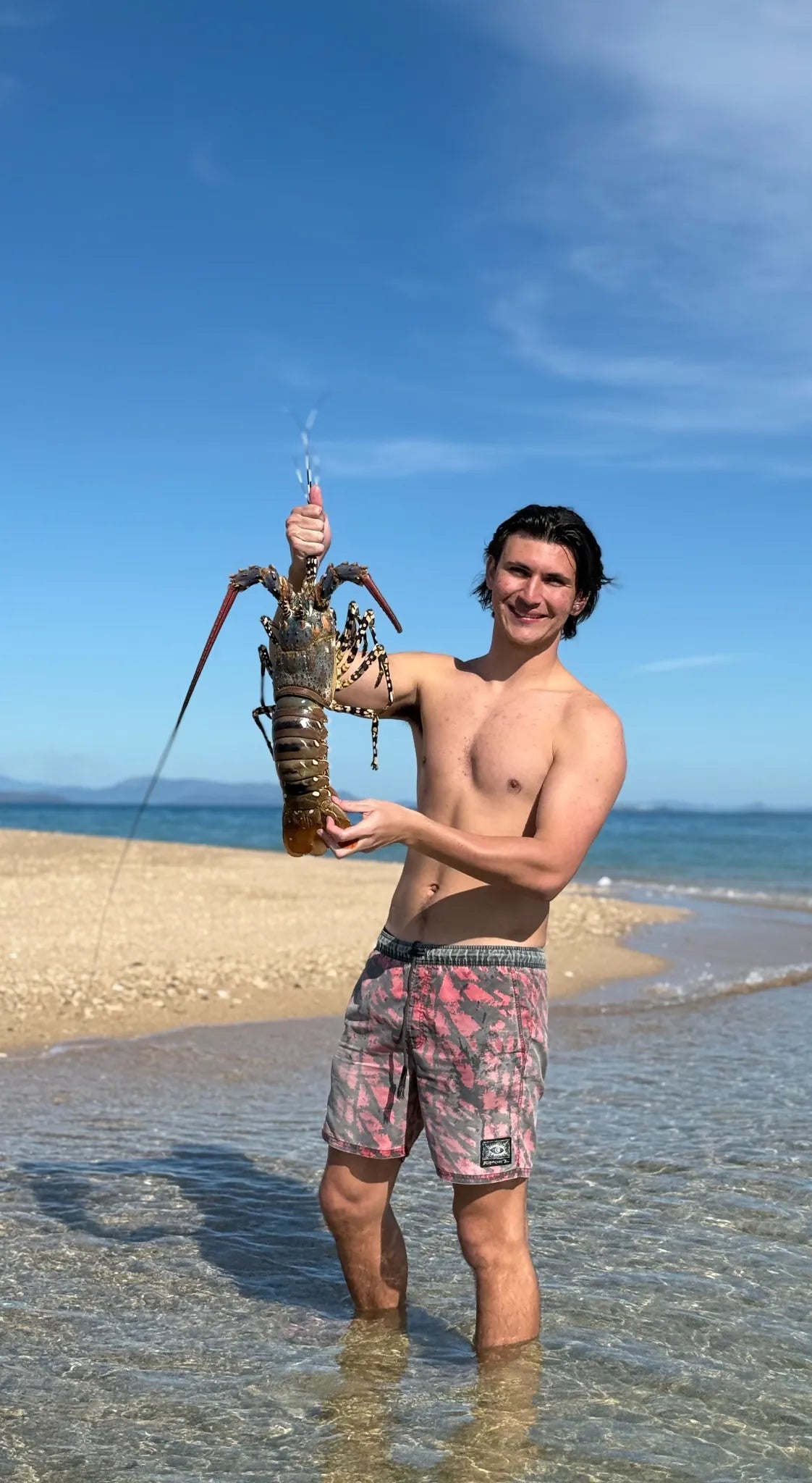 Ornate Crayfish — Reef Lagoon species